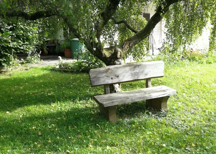 Studio Apartment Erlengrund